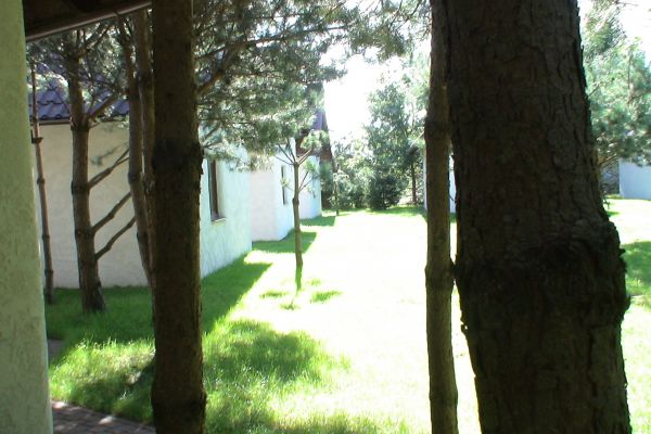zdjecie-045432499C2-0818-BF55-DC26-2F063EE093C2.jpg